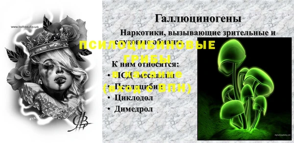 спиды Белокуриха